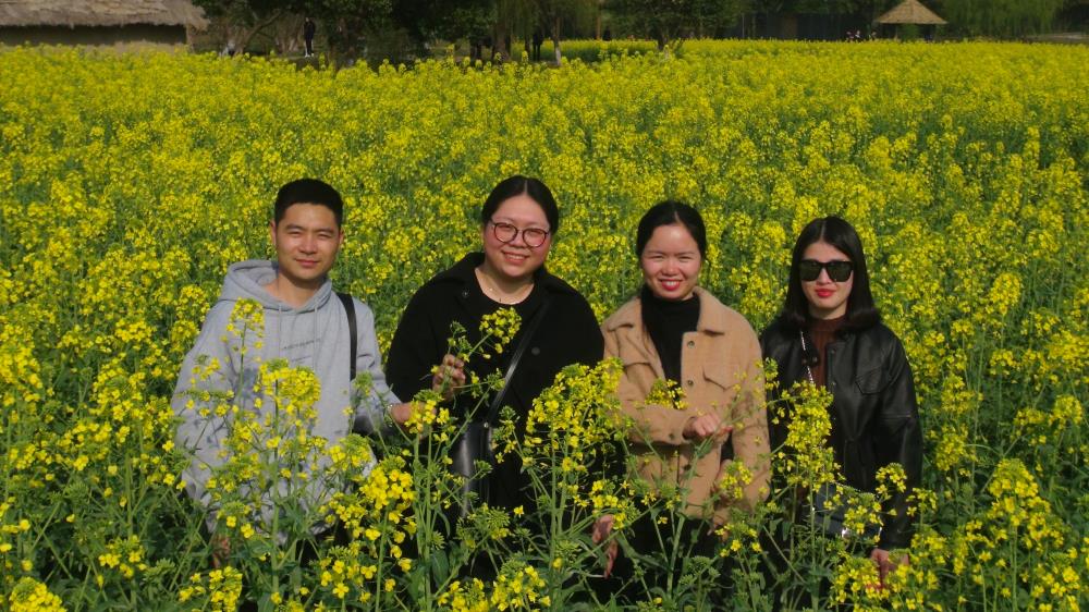 三·八婦女節公司組織杭州、烏鎮三日游